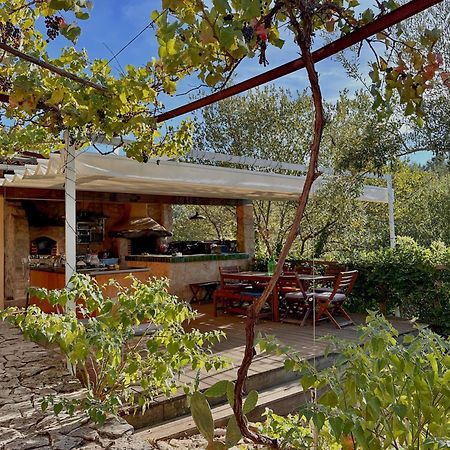 Glamping Do Ze Hotel Cernache do Bonjardim ภายนอก รูปภาพ