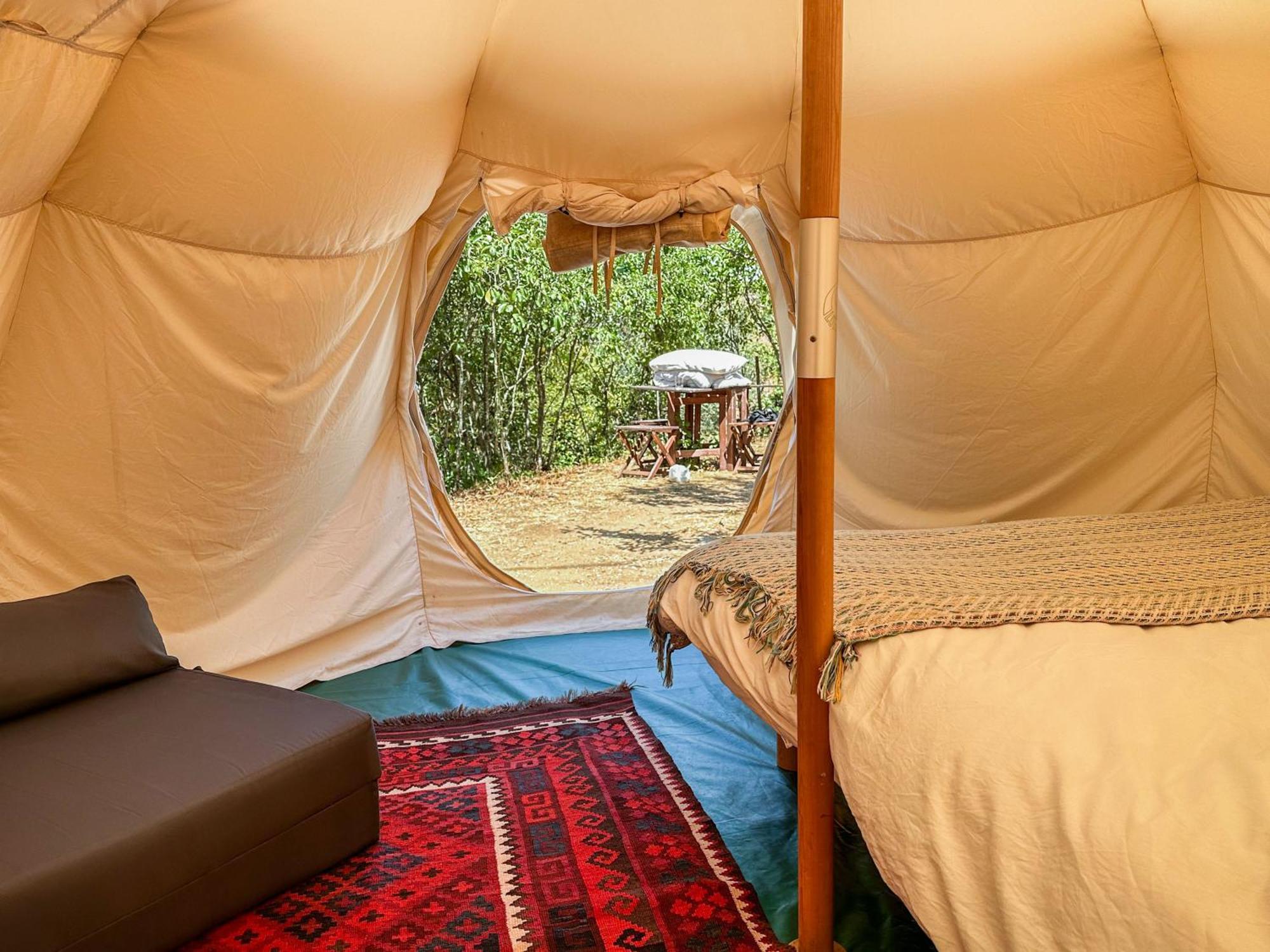 Glamping Do Ze Hotel Cernache do Bonjardim ภายนอก รูปภาพ