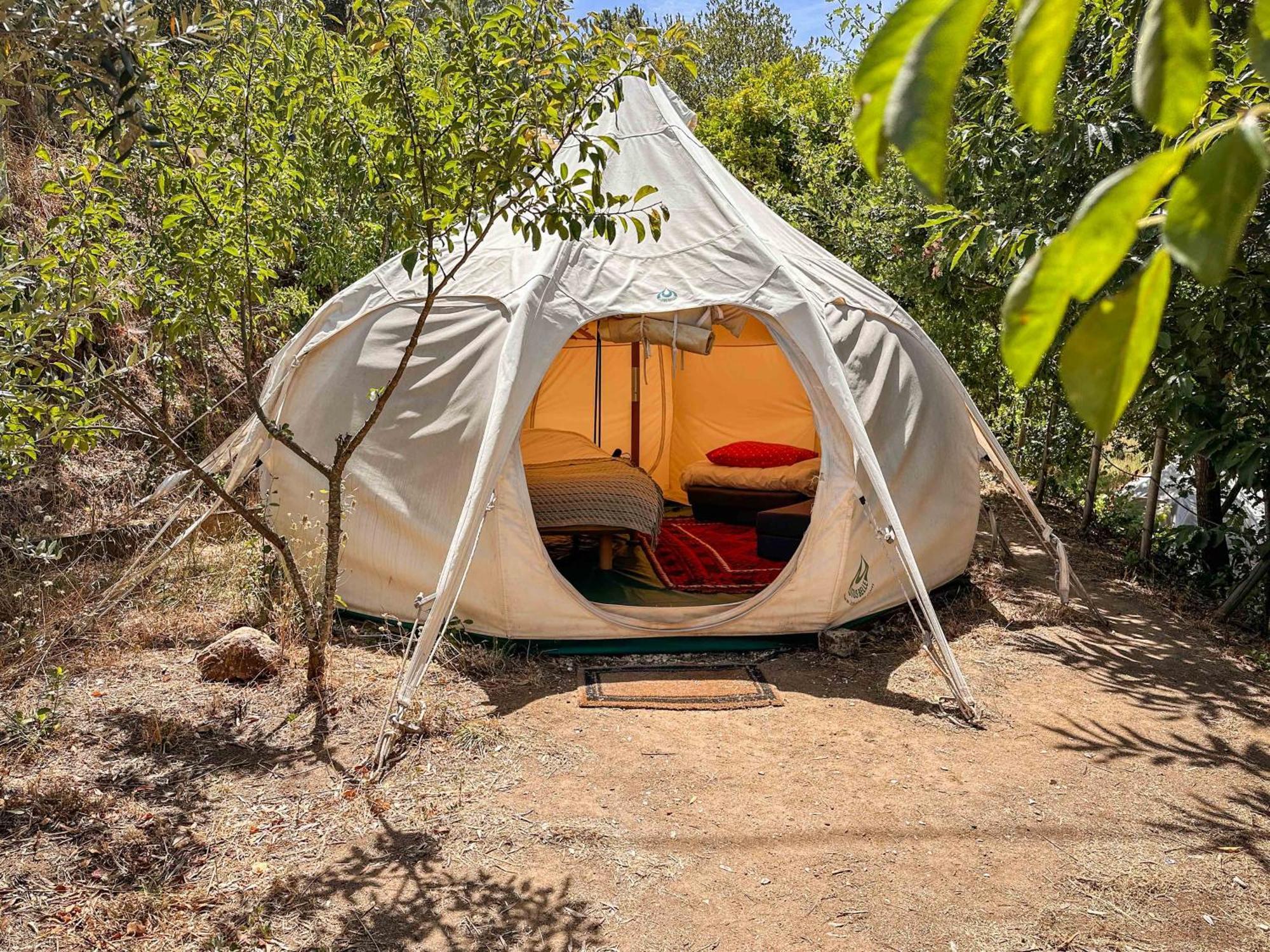 Glamping Do Ze Hotel Cernache do Bonjardim ภายนอก รูปภาพ